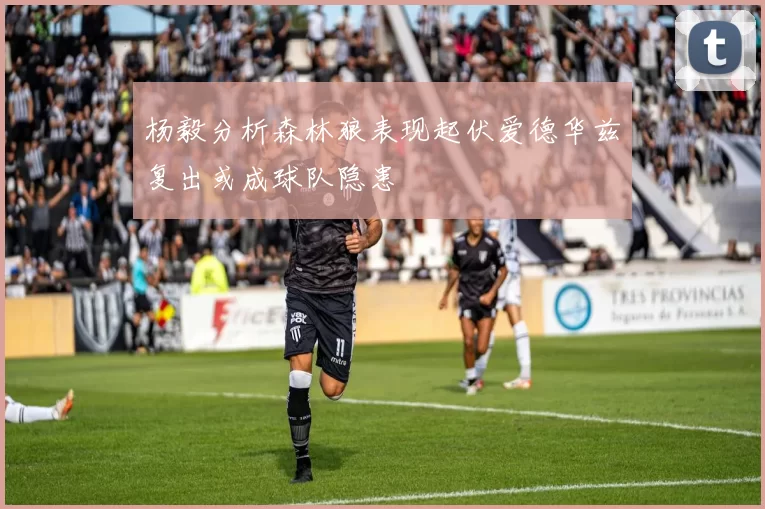 杨毅分析森林狼表现起伏爱德华兹复出或成球队隐患